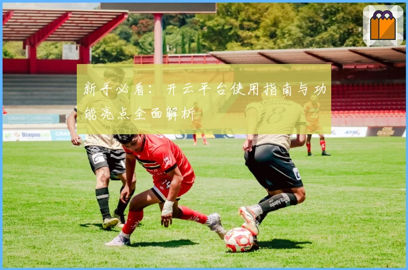 新手必看：开云平台使用指南与功能亮点全面解析